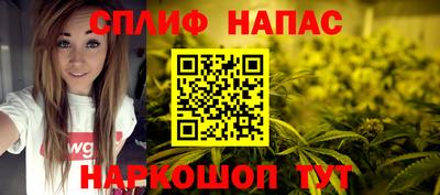 стаф Пенза
