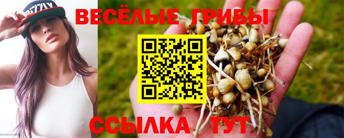 Галлюциногенные грибы ЛСД Светлоград